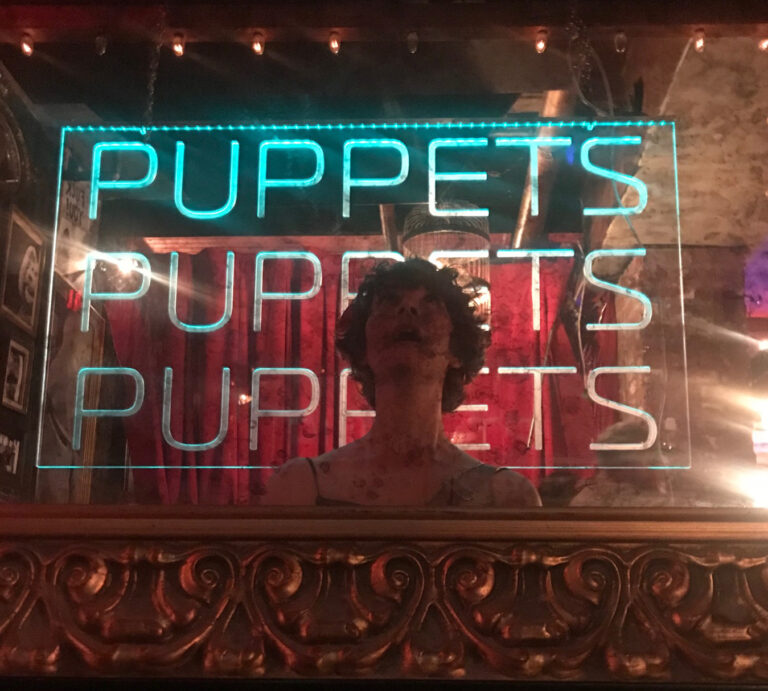 10 Puppet Workshops to Take in 2024